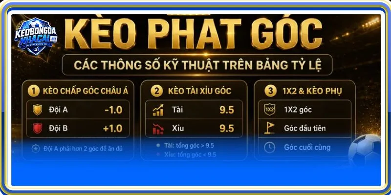 soi kèo phạt góc trực tuyến độc đáo thú vị
