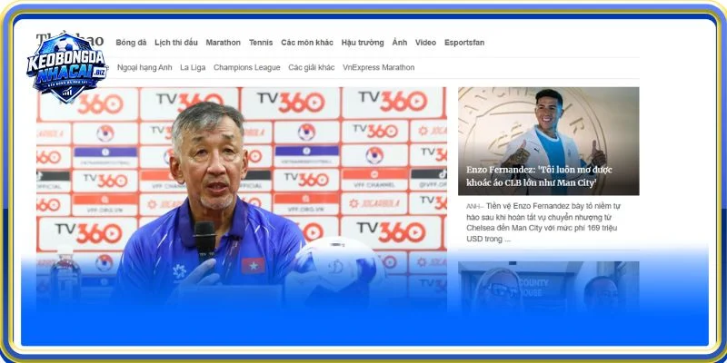 cập nhật toàn cảnh tin tức thể thao và soi kèo trực tuyến chuẩn