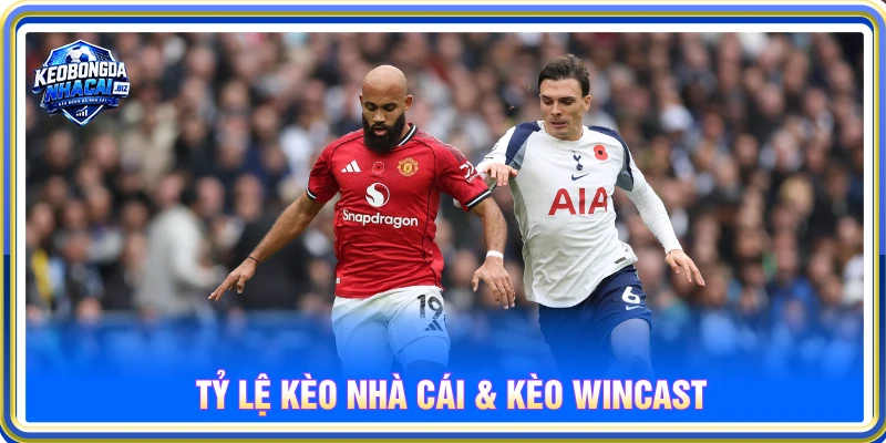 Tỷ Lệ Kèo Nhà Cái & Kèo Wincast - Cách Đọc Và Theo Dõi Biến Động