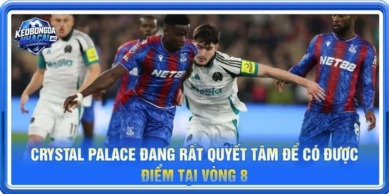 Crystal Palace đang rất quyết tâm để có được điểm tại vòng 8