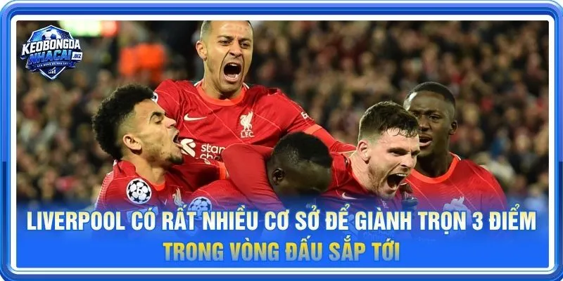 Liverpool có rất nhiều cơ sở để giành trọn 3 điểm trong vòng đấu sắp tới