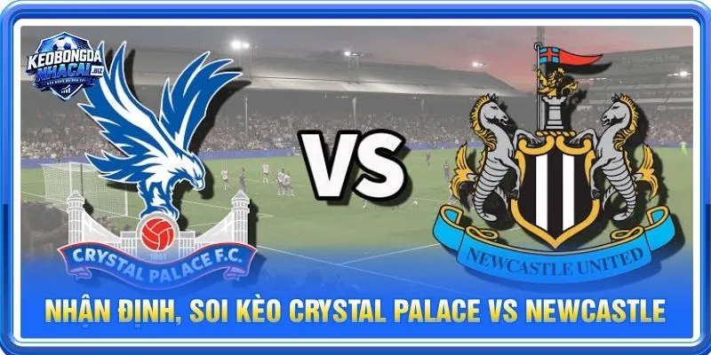  Nhận định chuyên sâu từ BLV Long Vũ về cặp trận Crystal Palace vs Newcastle