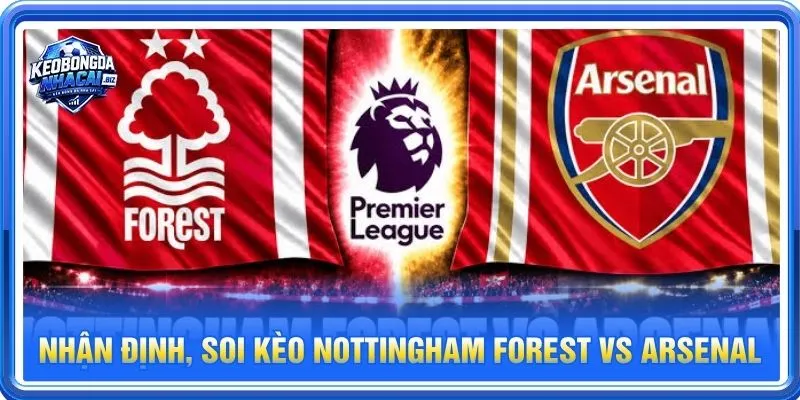 Nhận định chuyên sâu từ BLV Long Vũ về cặp trận Nottingham Forest vs Arsenal