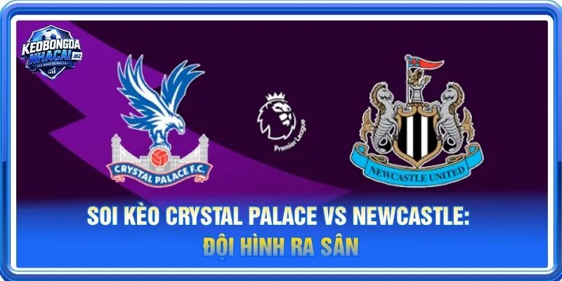 Cả Crystal Palace vs Newcastle đều sẽ cho những tính toán riêng cho trận ra sân 25/10