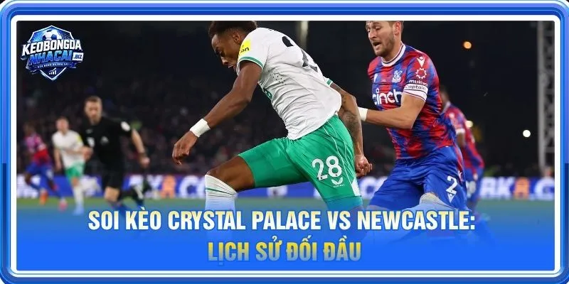 Lịch sử đối đầu Crystal Palace vs Newcastle nghiêng về phía đội khách