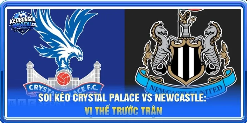 Soi kèo Crystal Palace vs Newcastle là cặp trận đáng theo dõi tại vòng 8 Ngoại hạng Anh